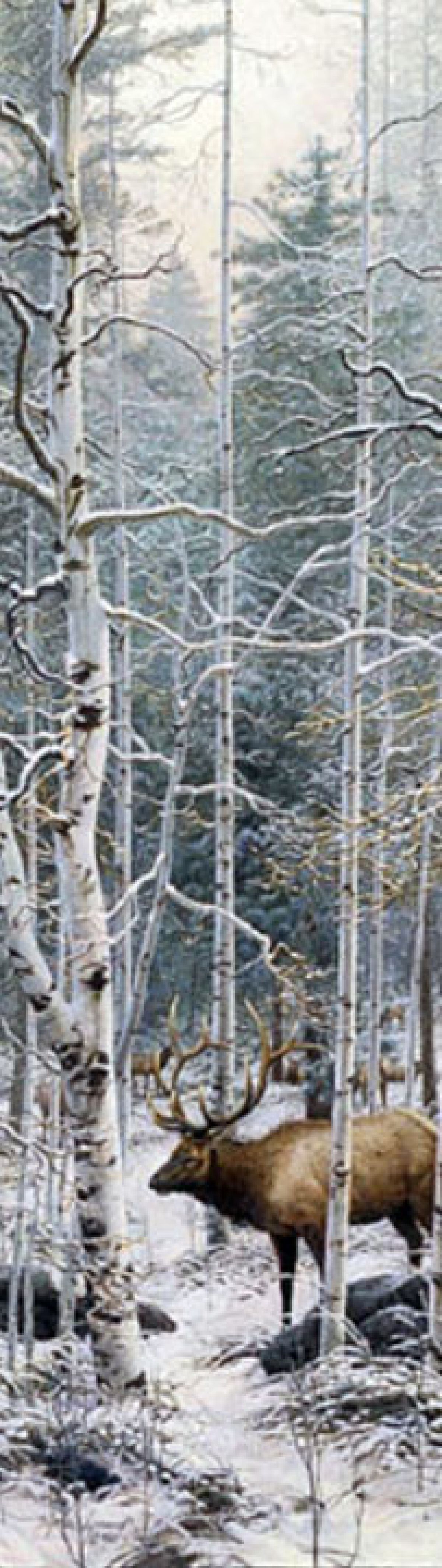 Woodland Haven